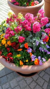 aroma prismのアバター